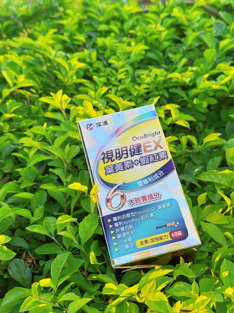 試用